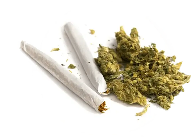 our-menu-inner https://semillainc.com/wp-content/uploads/2026/10/our-menu-inner.webp